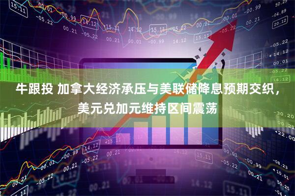 牛跟投 加拿大经济承压与美联储降息预期交织，美元兑加元维持区间震荡