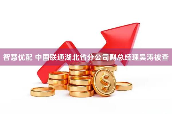 智慧优配 中国联通湖北省分公司副总经理吴涛被查