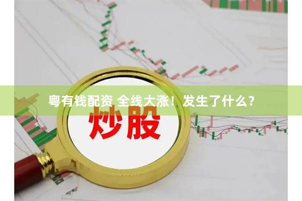 粤有钱配资 全线大涨！发生了什么？