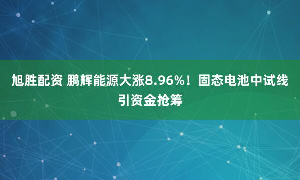 旭胜配资 鹏辉能源大涨8.96%!固态电池中试线引资金抢筹