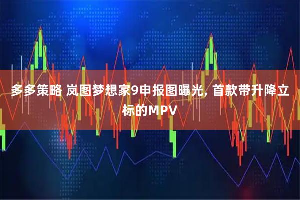 多多策略 岚图梦想家9申报图曝光, 首款带升降立标的MPV